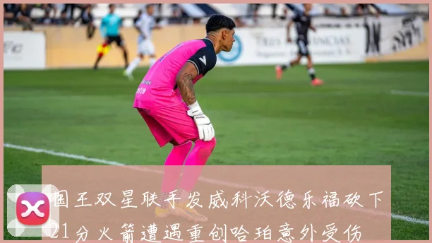 国王双星联手发威科沃德乐福砍下21分火箭遭遇重创哈珀意外受伤
