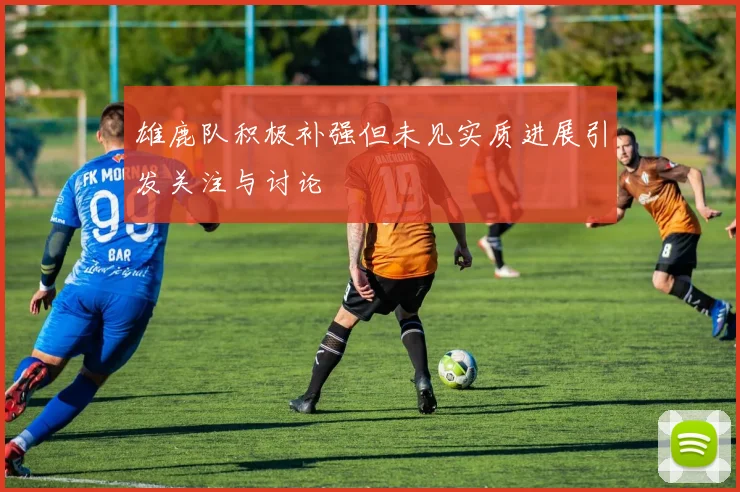 雄鹿队积极补强但未见实质进展引发关注与讨论